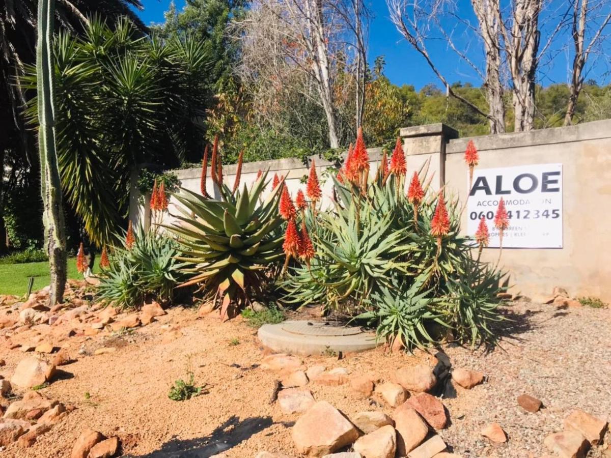 Aloe Guesthouse Klerksdorp Ngoại thất bức ảnh