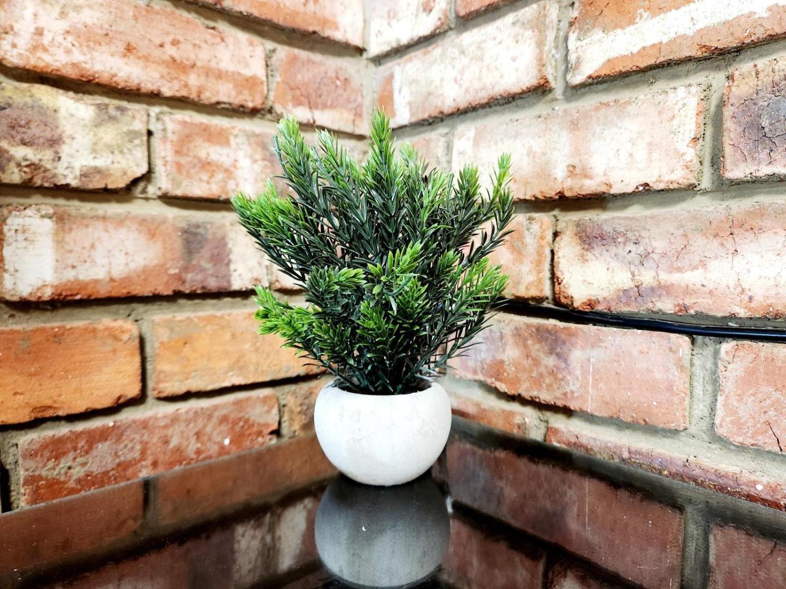 Aloe Guesthouse Klerksdorp Phòng bức ảnh