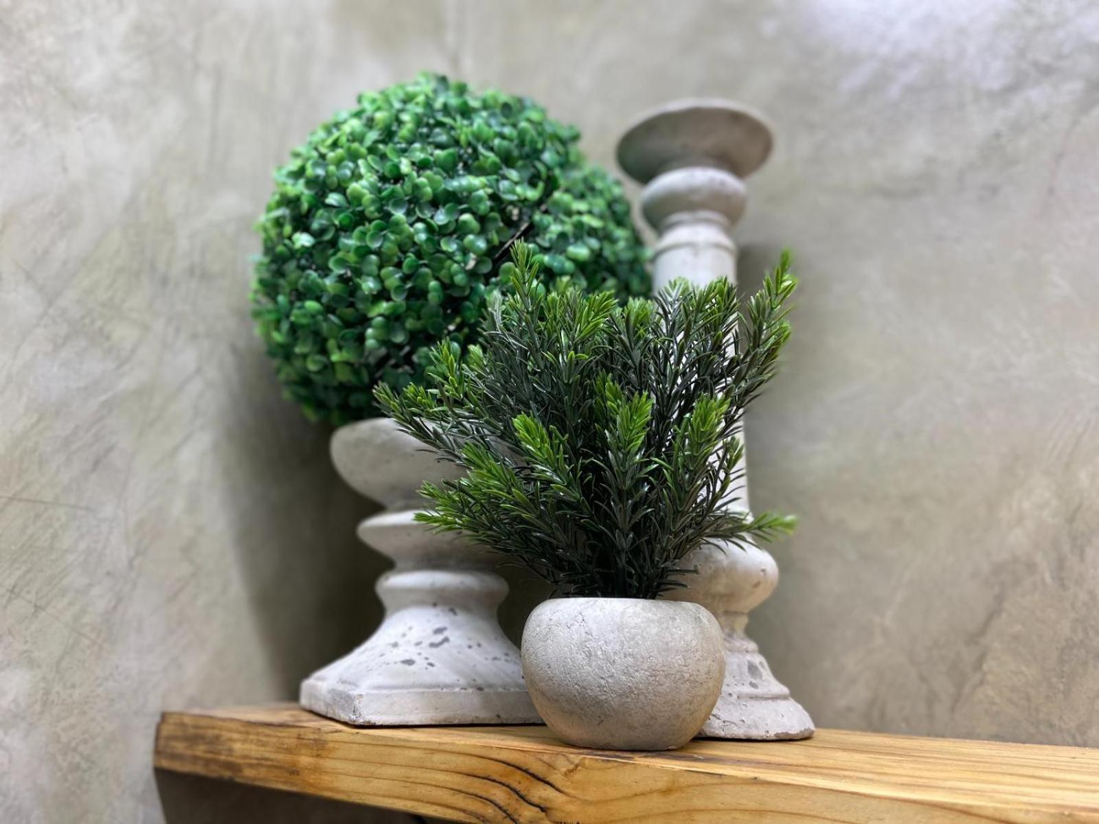 Aloe Guesthouse Klerksdorp Phòng bức ảnh